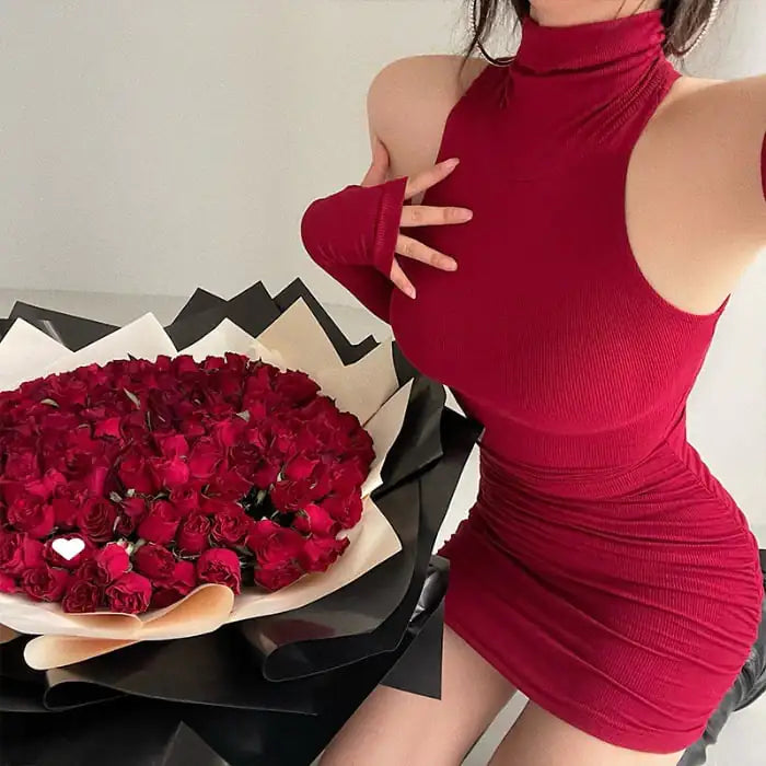 Sandra Turtleneck Halter Dress