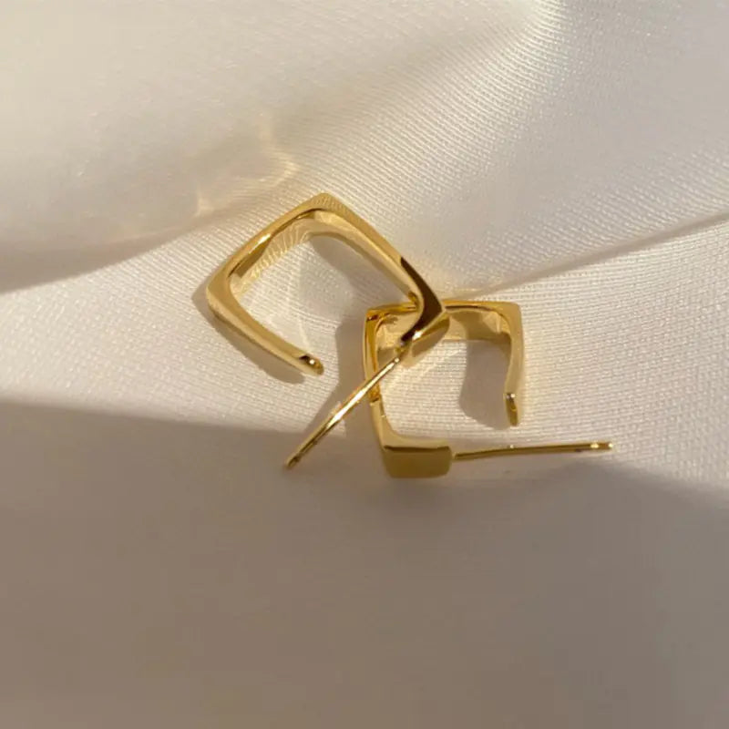 Exquisite Square Earrings