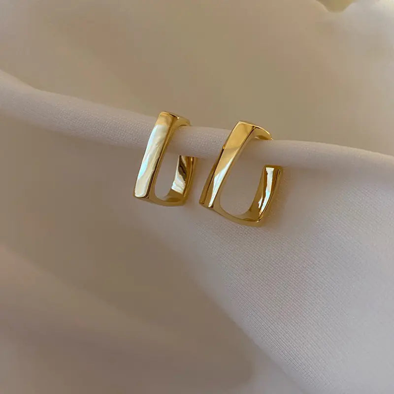 Exquisite Square Earrings