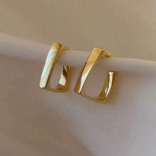 Exquisite Square Earrings
