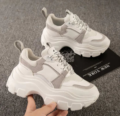 Lace-Up Mesh Sneaker